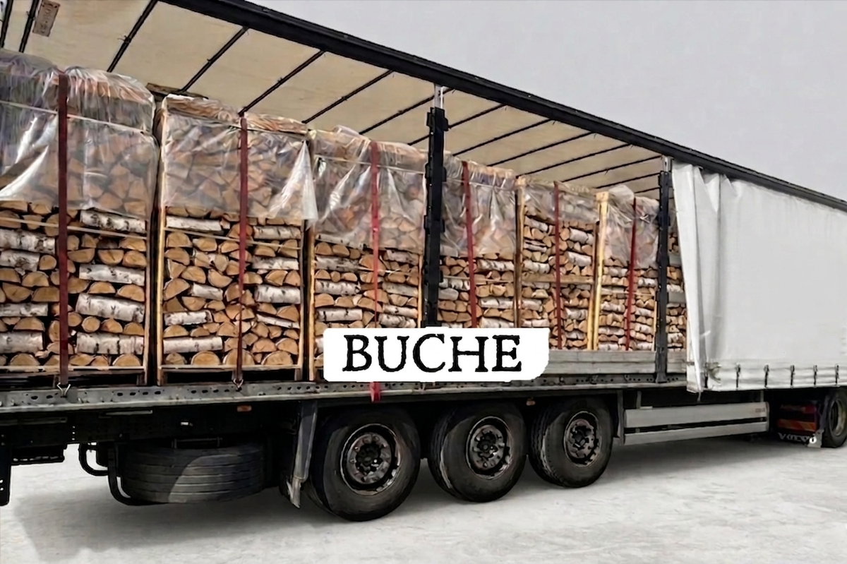 LKW-Ladung Brennholz - Buche - 30/33 cm - kammergetrocknet - 2 RM Paletten – Bild 2